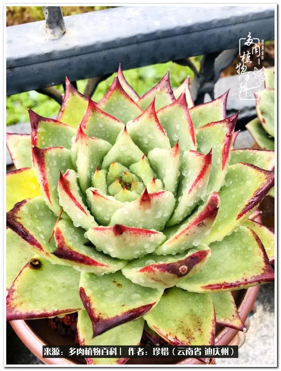 给生命一份淡然还岁月一份从容,给生命留一份洒脱的话