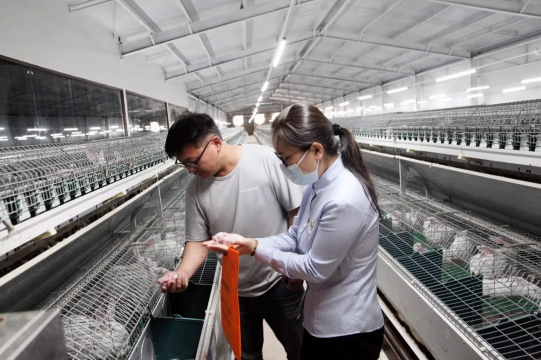 深耕三农是什么,用行动深耕三农