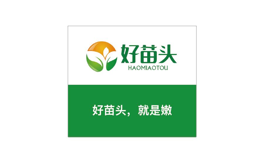 龙行营销策划方案,龙行营销