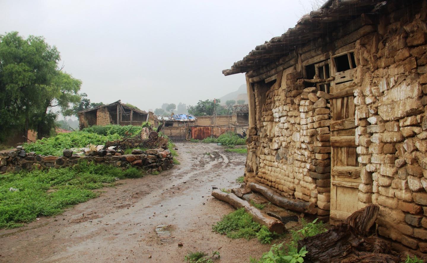 婴儿在自家门口被狗咬死,父母留孩子在家被狗咬死