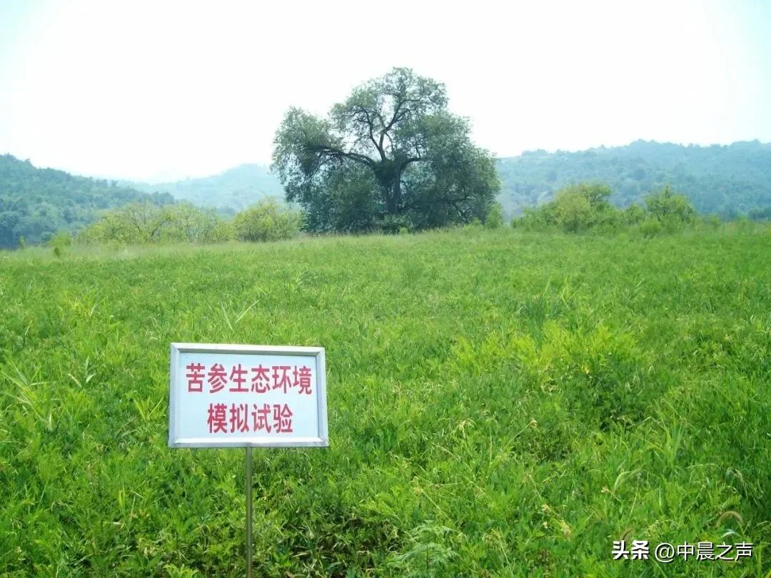 山西振东集团被罚最新消息,山西振东集团年产值