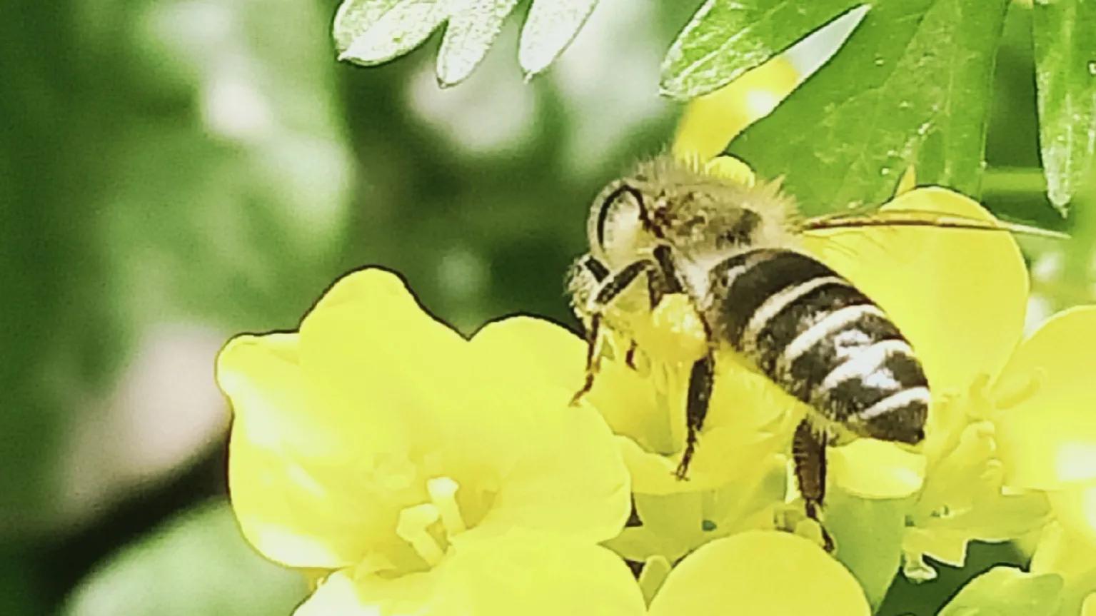 性是第一位的——女人会爱上多个男人合理吗因爱而性、因性而爱