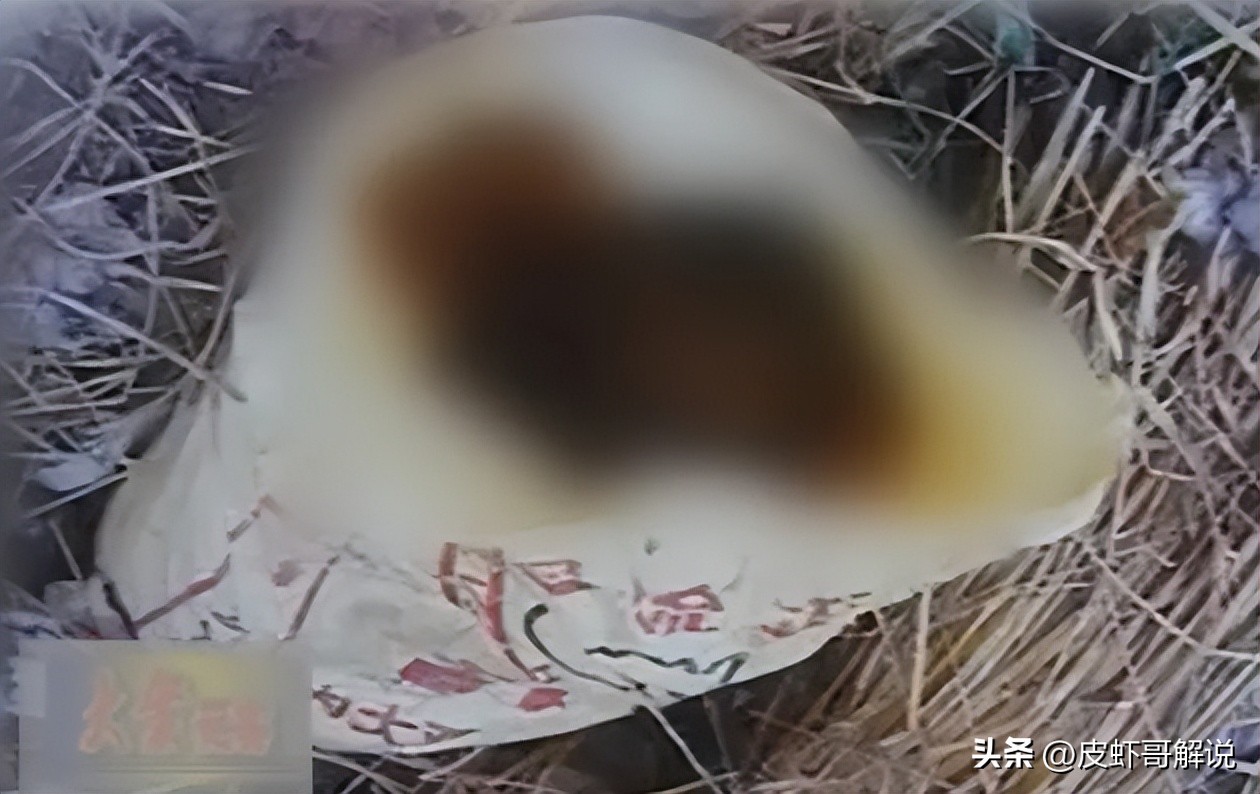 花季少女惨死油菜地,妙龄少女惨死广场灌木丛警方调查