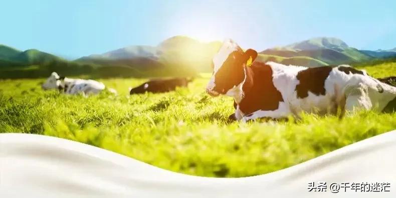 八喜椰子牛奶口味冰淇淋,八喜牛奶冰淇淋多少钱一杯