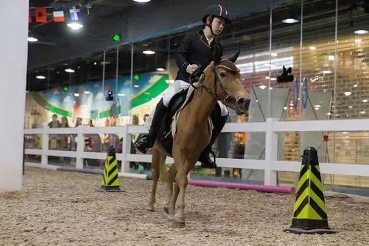 购物中心商业,购物中心应该集中化还是多元化