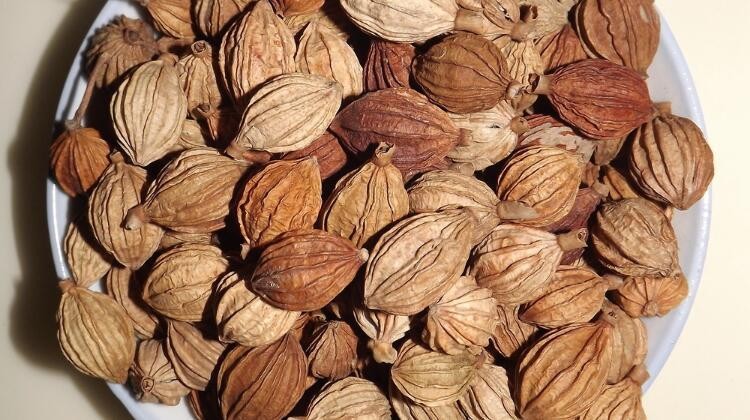 一个方子疏通经络,一个方子帮你疏通血管坚持2个月