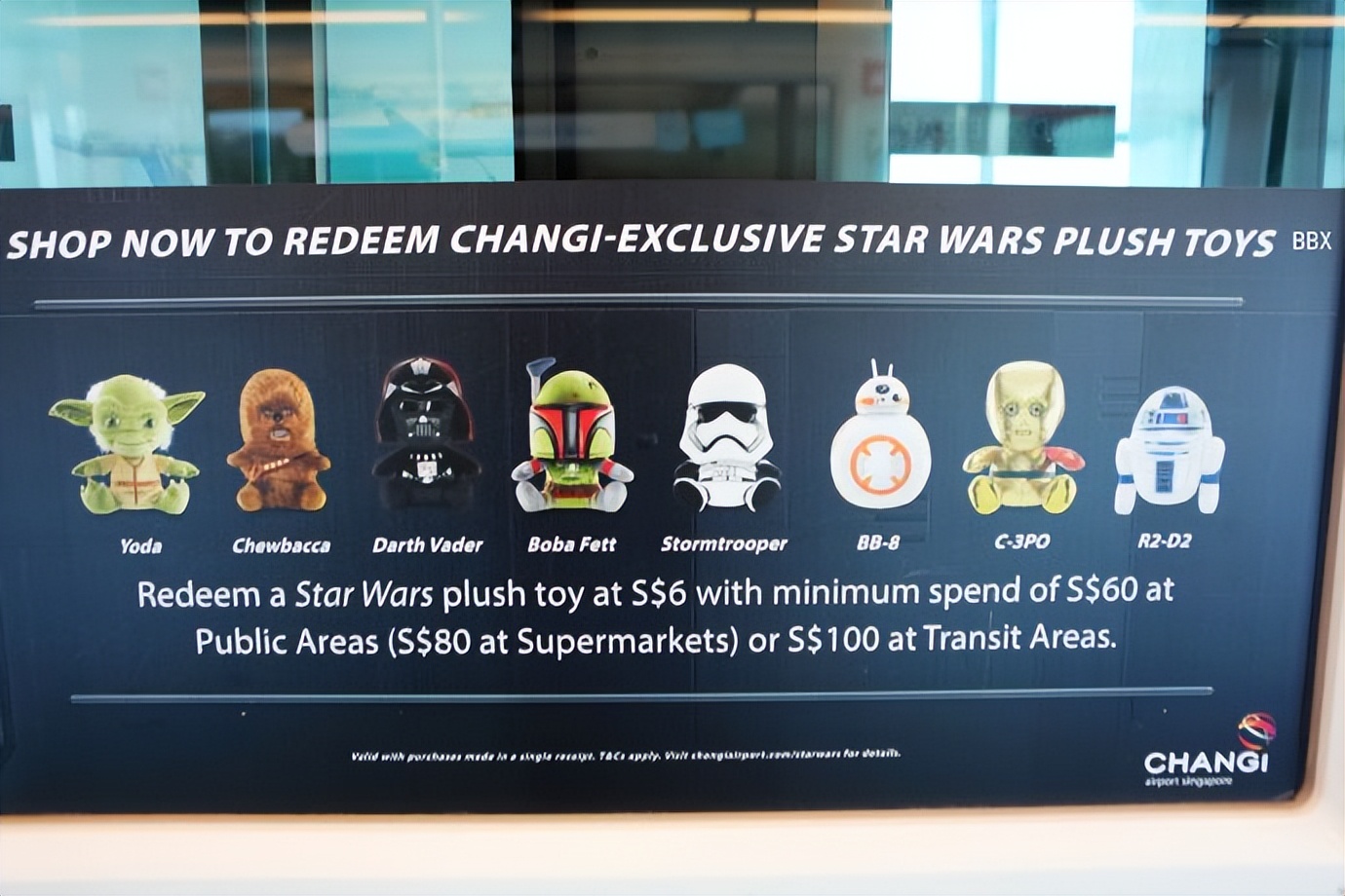 新加坡樟宜机场的仙人掌花园,新加坡最美机场在哪个航站楼