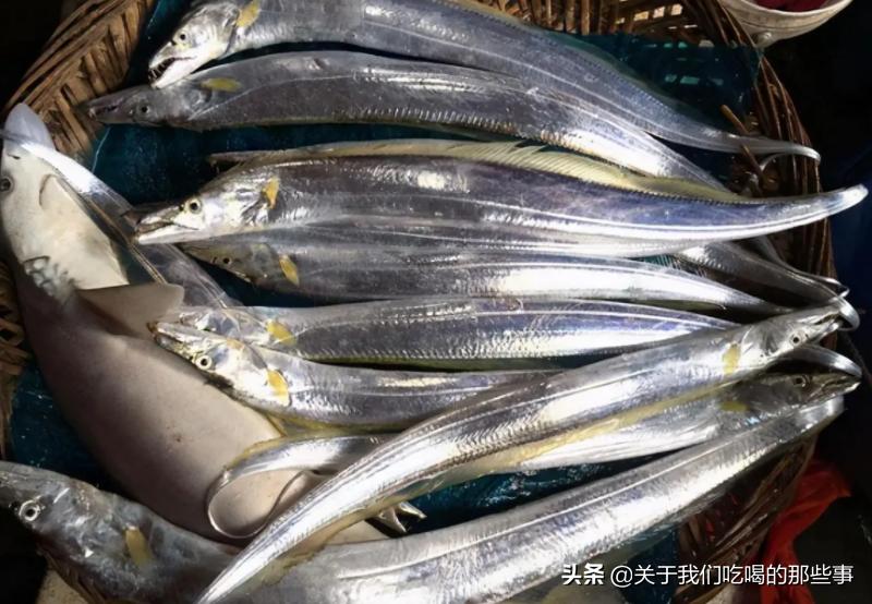 买鱼时这三种鱼不要买,买鱼要买什么品种