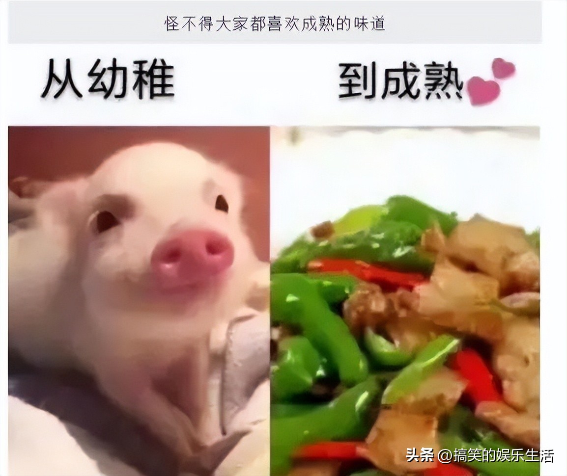 6张让人无法淡定的搞笑图片,11张尴尬到爆的搞笑图片