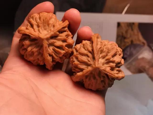 文玩核桃缝隙里黑色怎么清理,文玩核桃掉水里了可以用吹风机吗