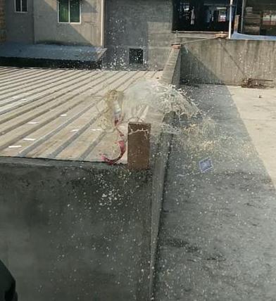 扑克牌真的能插进木板里吗,小孩扑克牌打穿木板