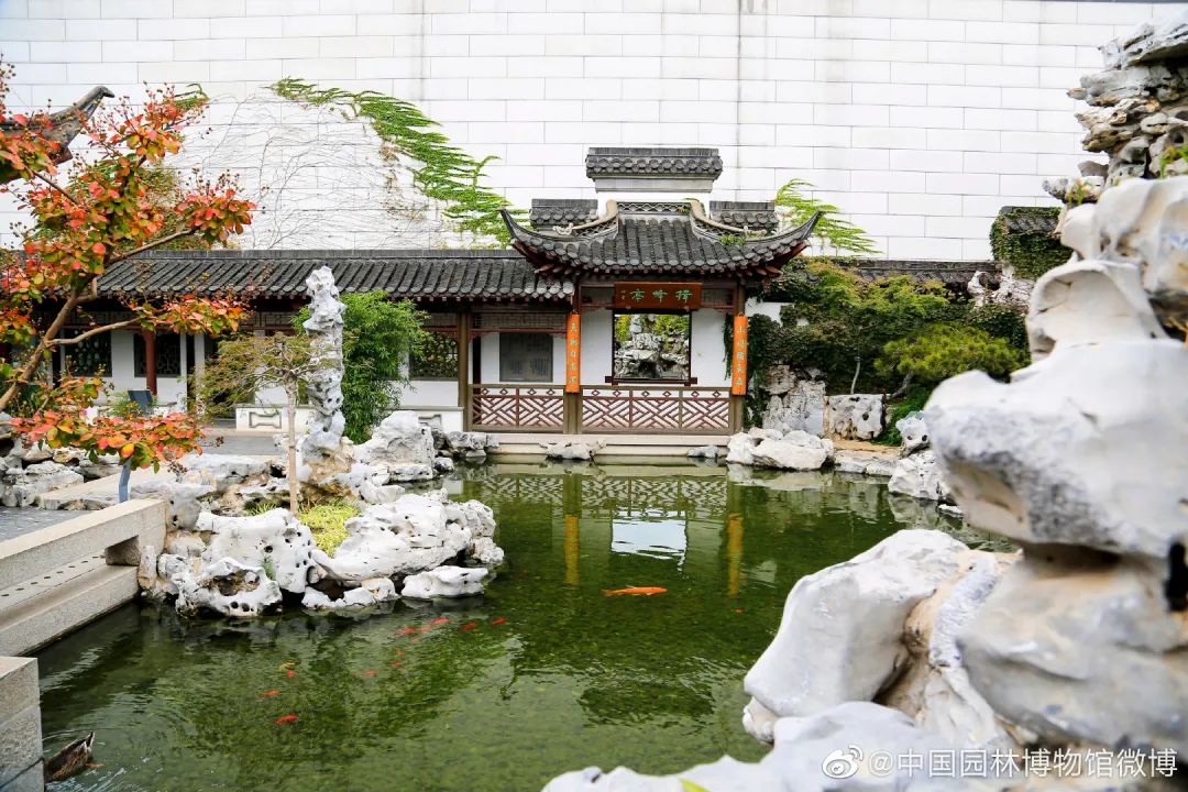 北京植物园的赏花的最好时节,西山秘境惊艳北京的植物