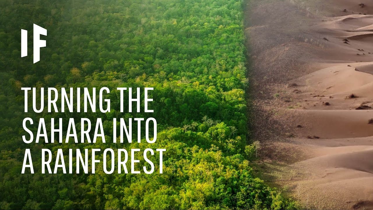 如果沙漠全部变成森林地球会怎样,如果沙漠都变成绿洲地球会怎么样