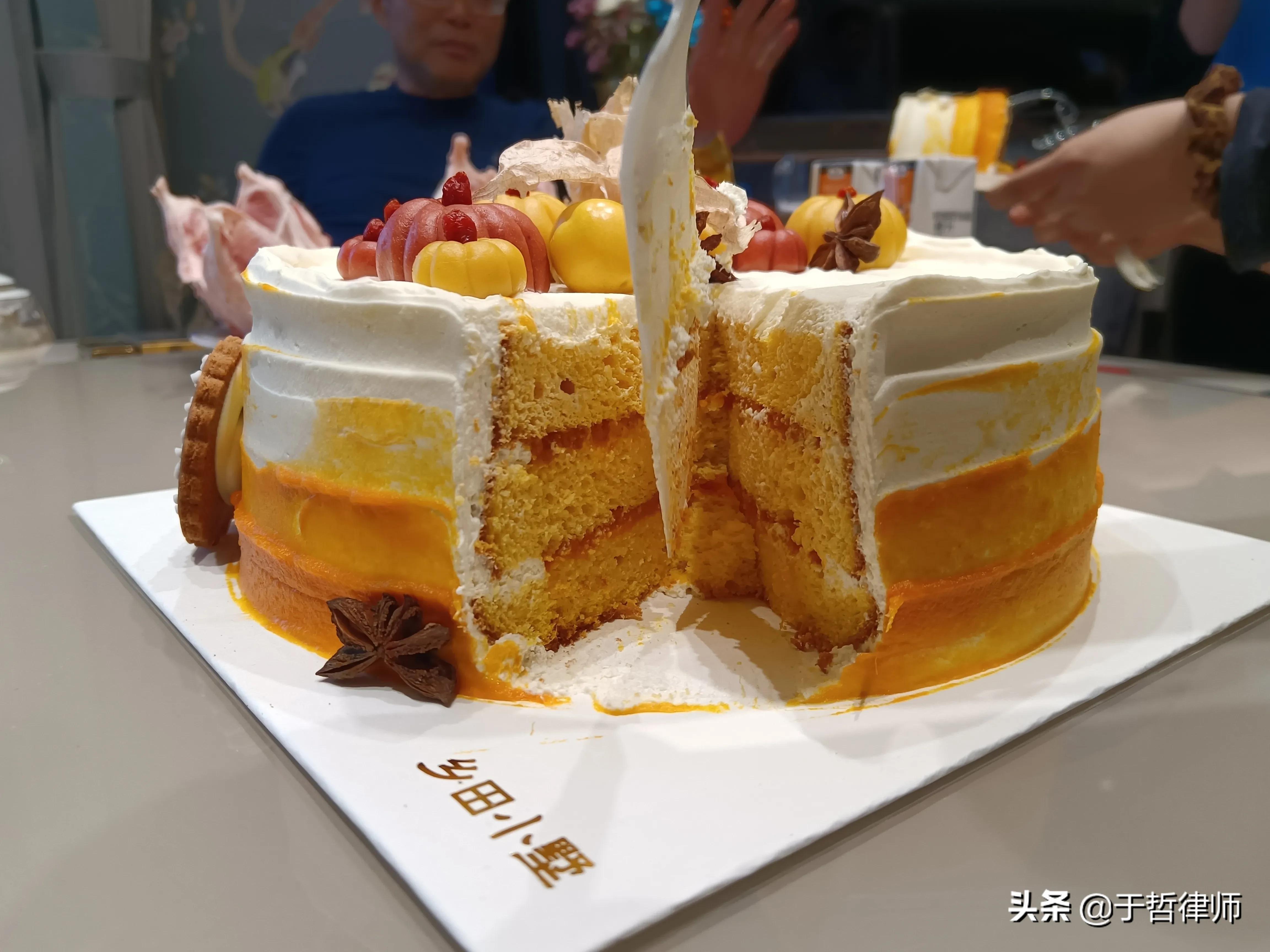 民事案由的解释,民事案件案由规定理解与适用书籍