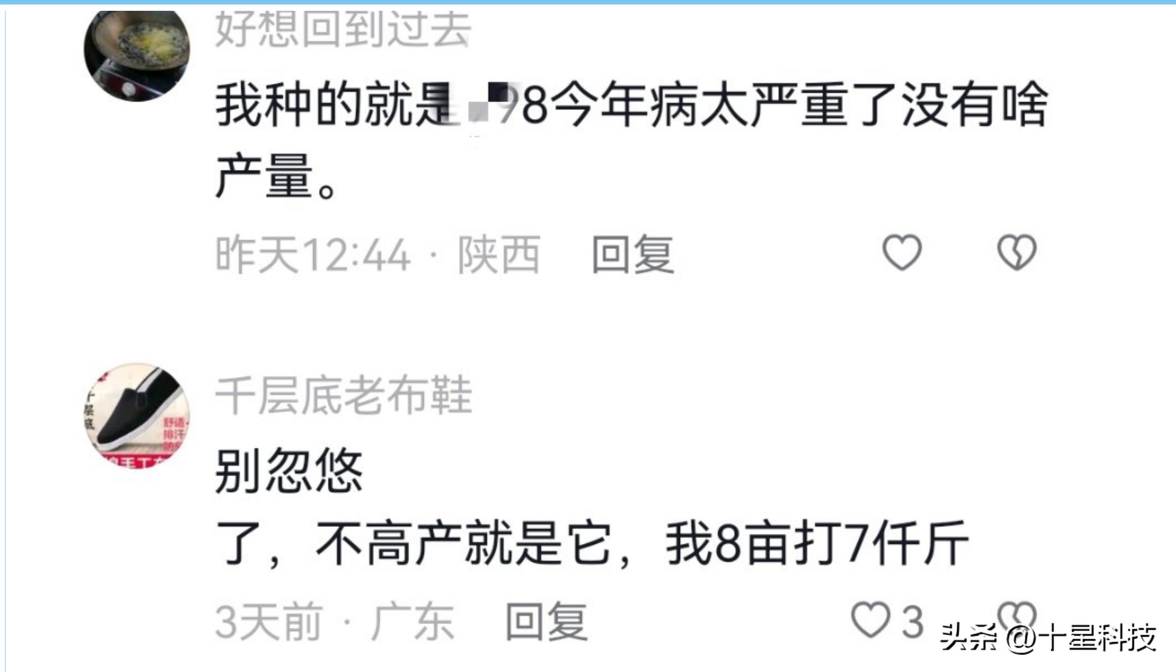 让农民的粮食能卖上好价钱,让农民的农产品卖出去