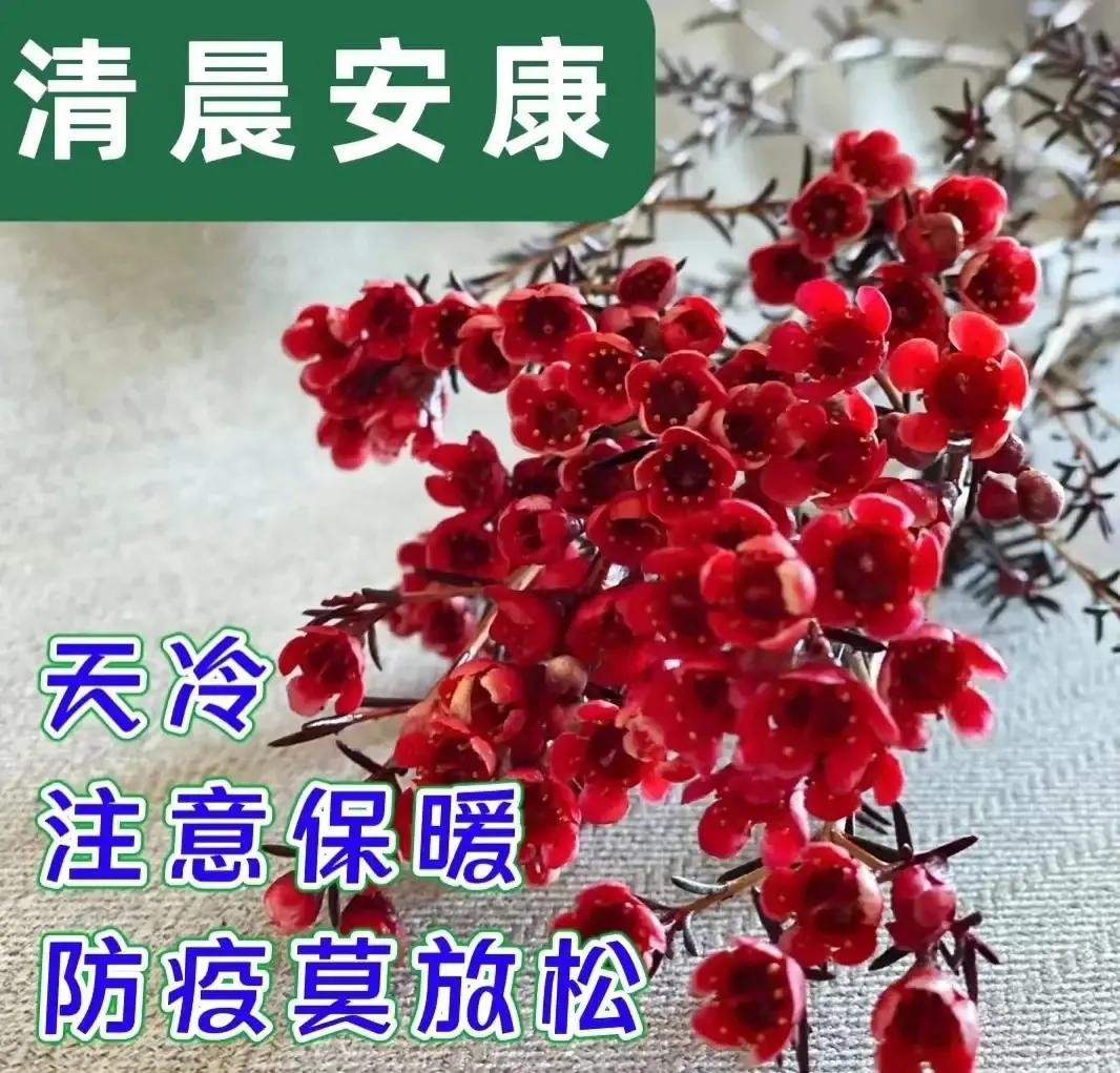 2023年02月27日星期一农历:癸卯年【兔年】二月初八八九第5天