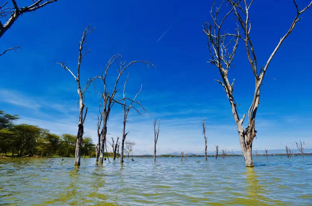 地球大陆分裂过程,地球大陆分裂的原因