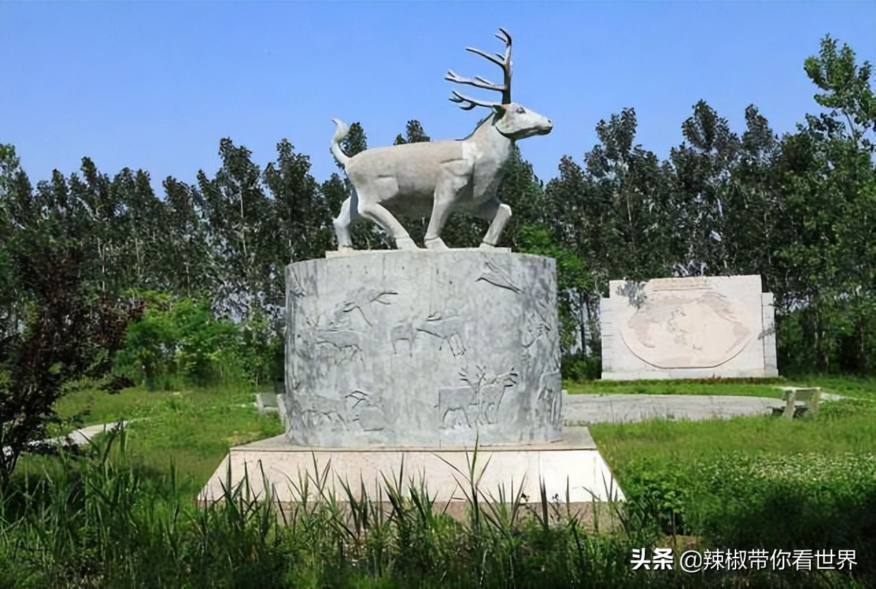 盐城最大的海边城市,盐城海岸线为何一直延伸