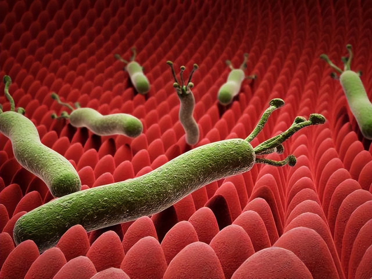 阿莫西林都治疗哪些炎症,阿莫西林有什么注意事项吗