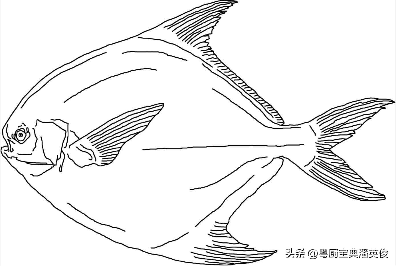 食材知识学习,食材知识视频教程