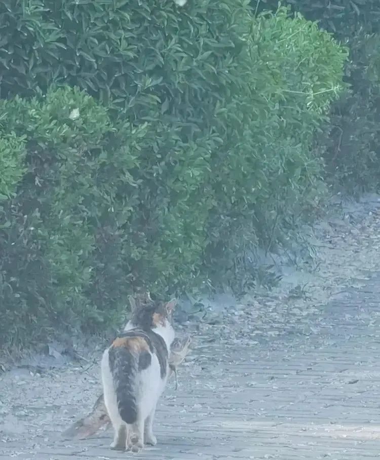 闺蜜送了一个房子,闺蜜送给我一个房子