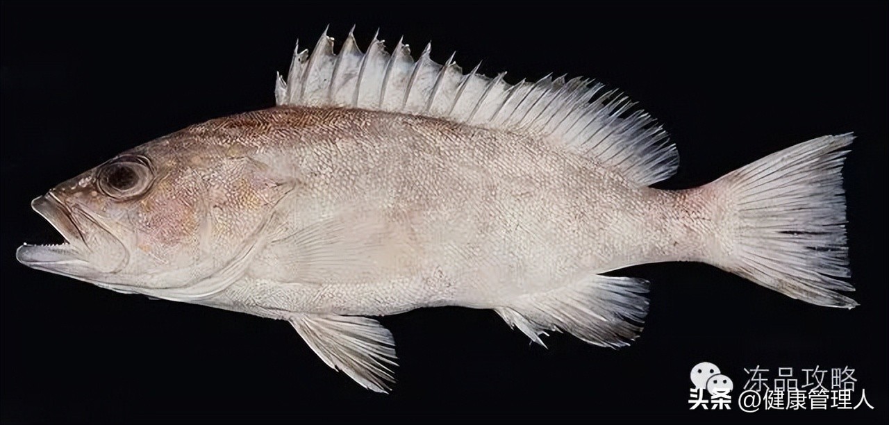 美容护肤食疗方案,美容护肤养生介绍