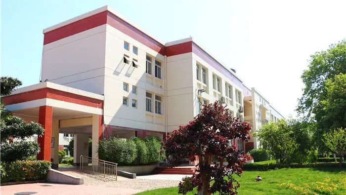 合肥国际班如何选择,合肥国际学校课程