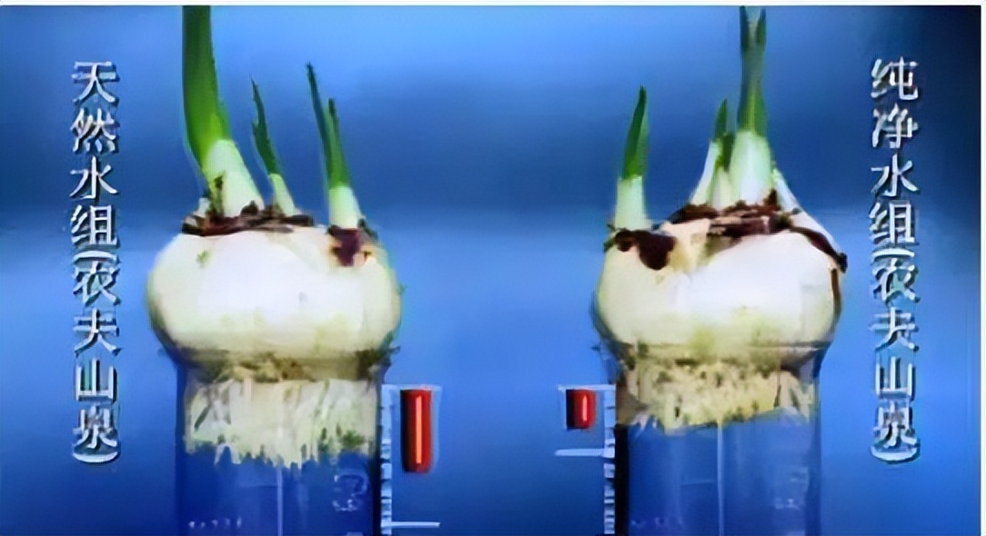 农夫山泉做饮料,农夫山泉大桶可以做什么手工