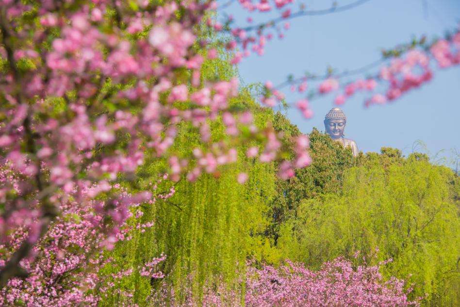 你不知道的春节的来历,你不知道的清明风俗