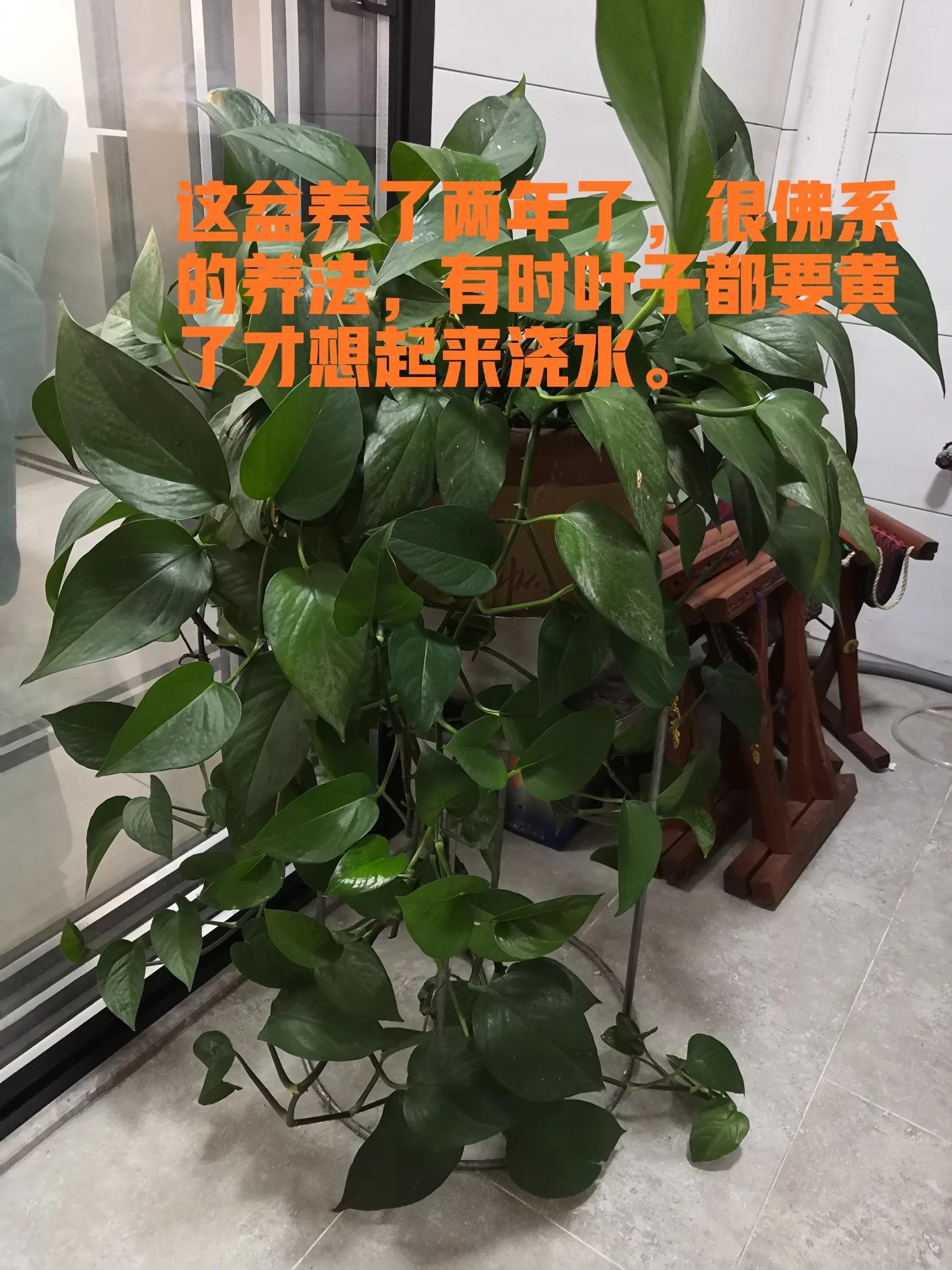 催人泪下的年关将至,年关将至既是结束又是开始