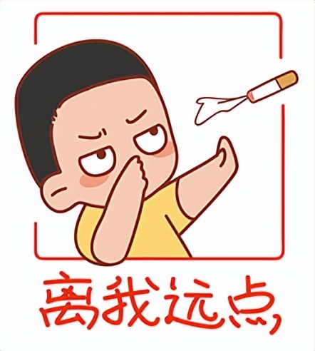 王心凌大叔,戒烟吧dj版