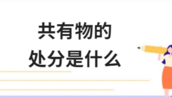 法律共有物包括什么,法律是如何保护共有人的合法权利