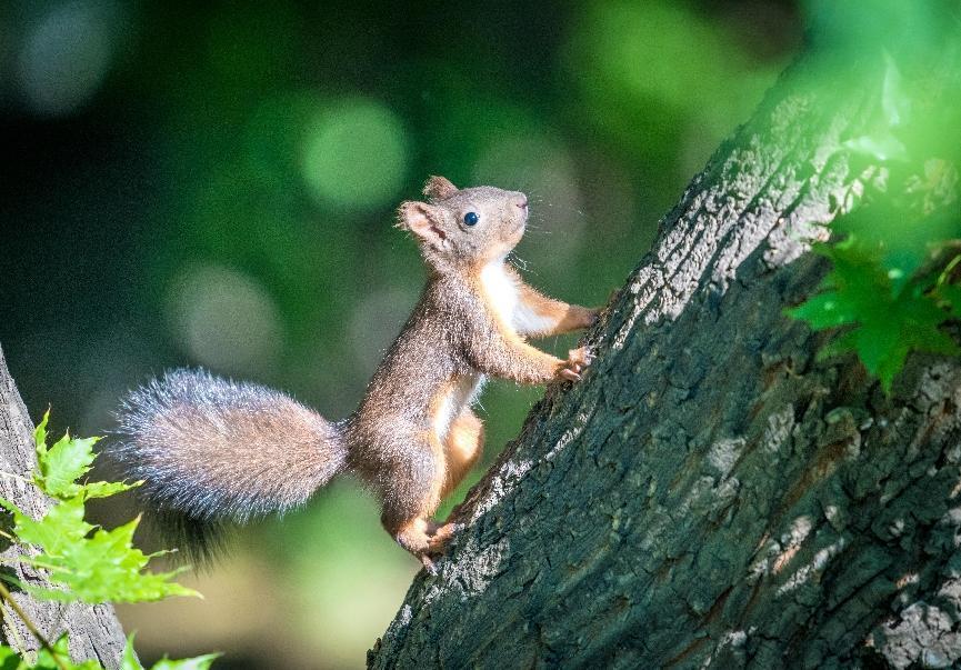 长春必去十大网红地,来长春打卡每日更新哪家火爆