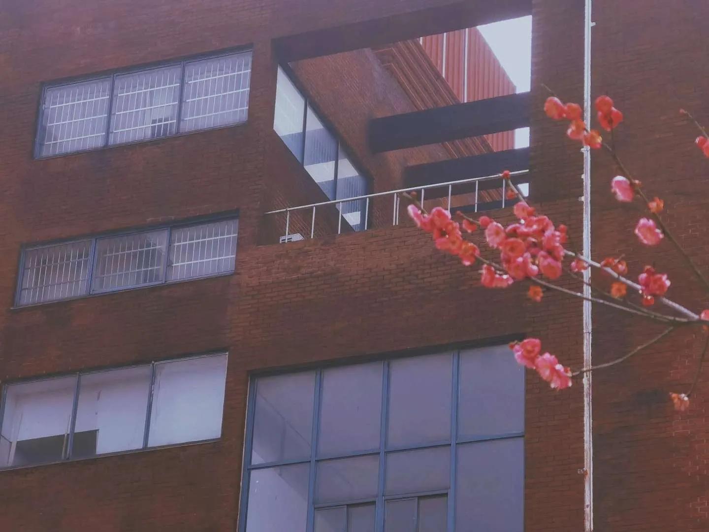 高雅精致的文案句子,精致的说说语句