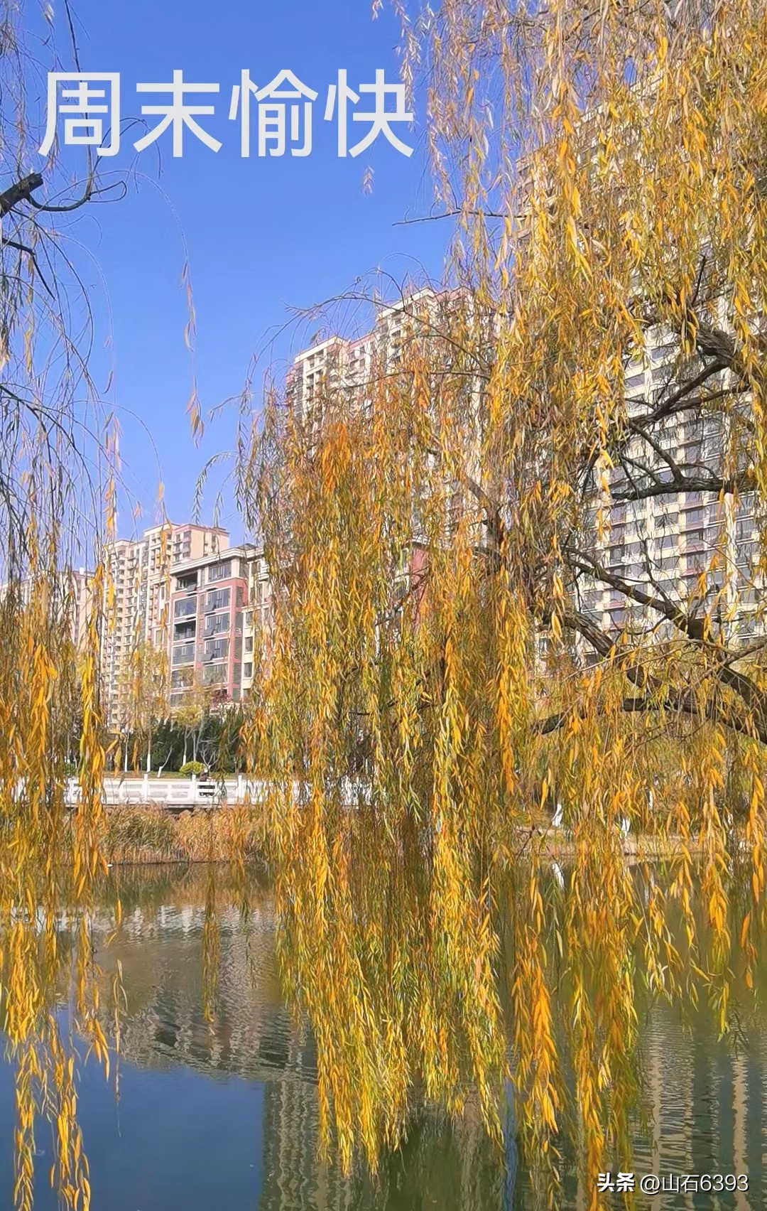 「战友美文」陈民：《儿子的足球梦》——世代传承呵