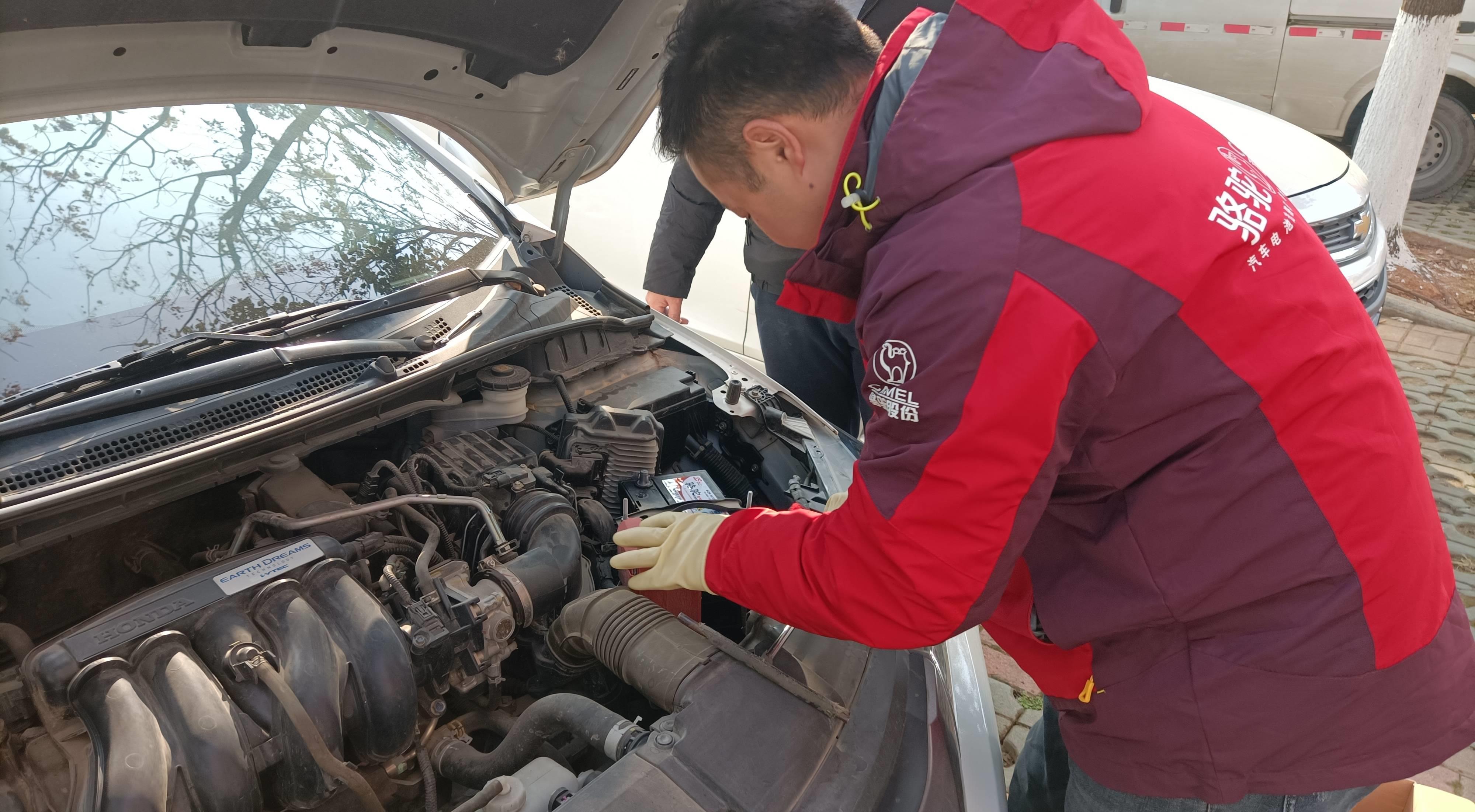 襄阳骆驼集团排名,震撼骆驼