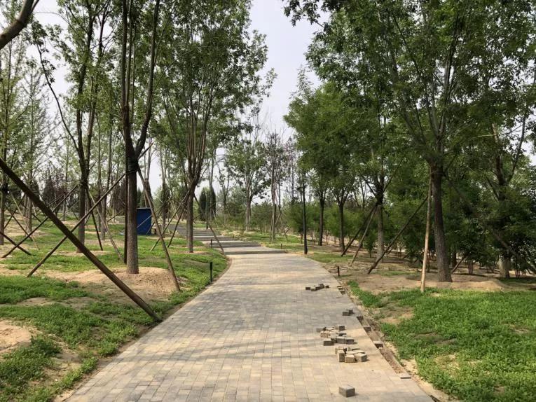 半年没进账，中小园林企业的“坑”是怎么埋下的？