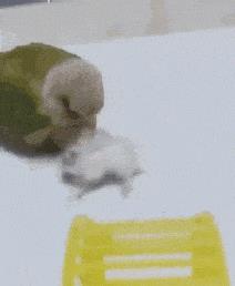 突然冒出一片气泡,突然冒了小小的水泡泡