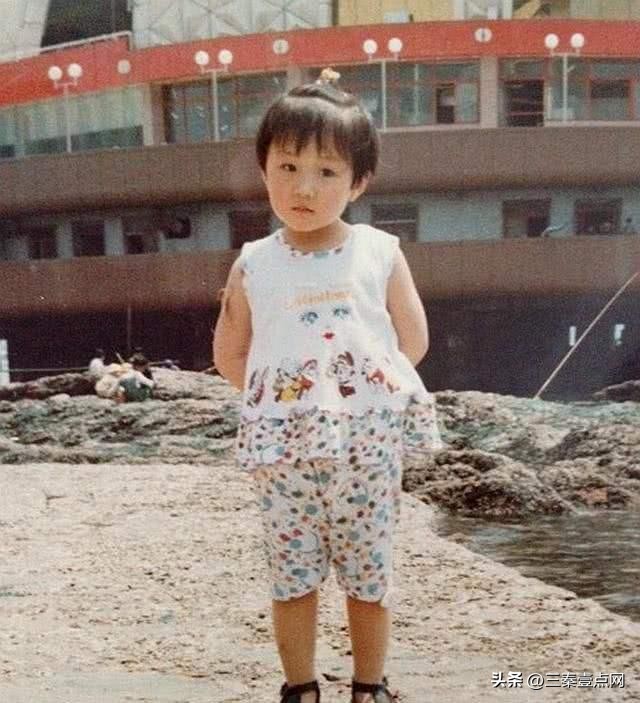 陈梦身价有多少亿,陈梦现在身价多少亿