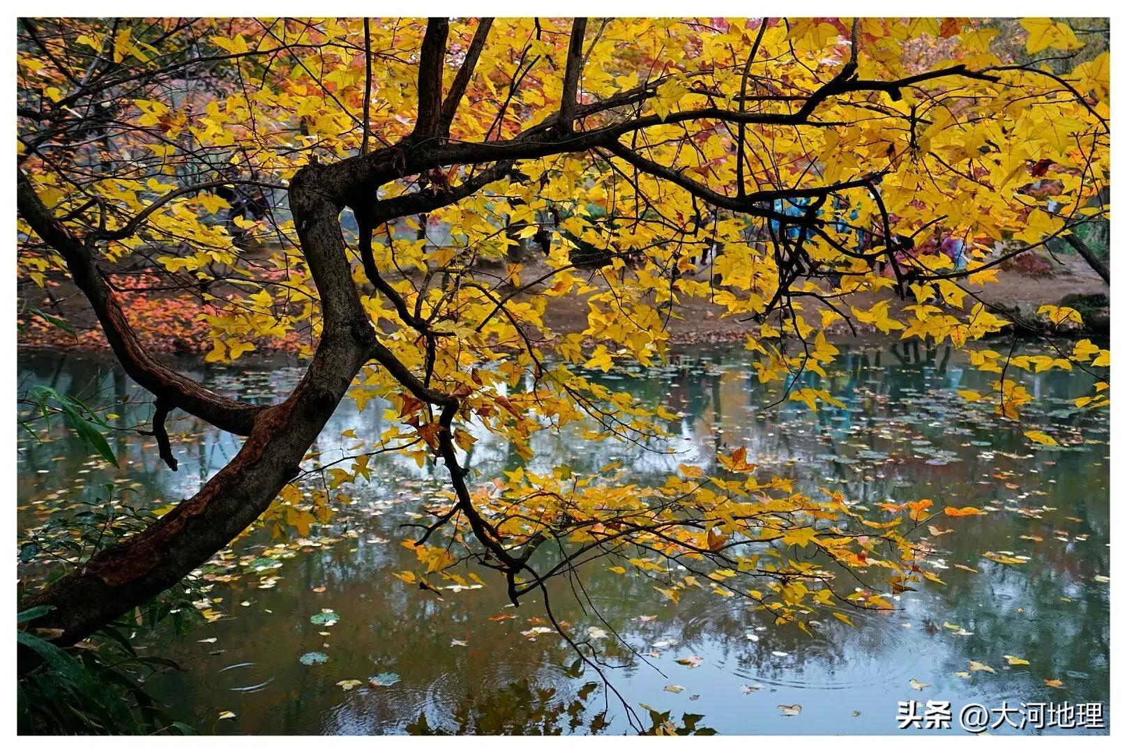 旅游攻略国内十大必去景点南方,中国南方著名景点