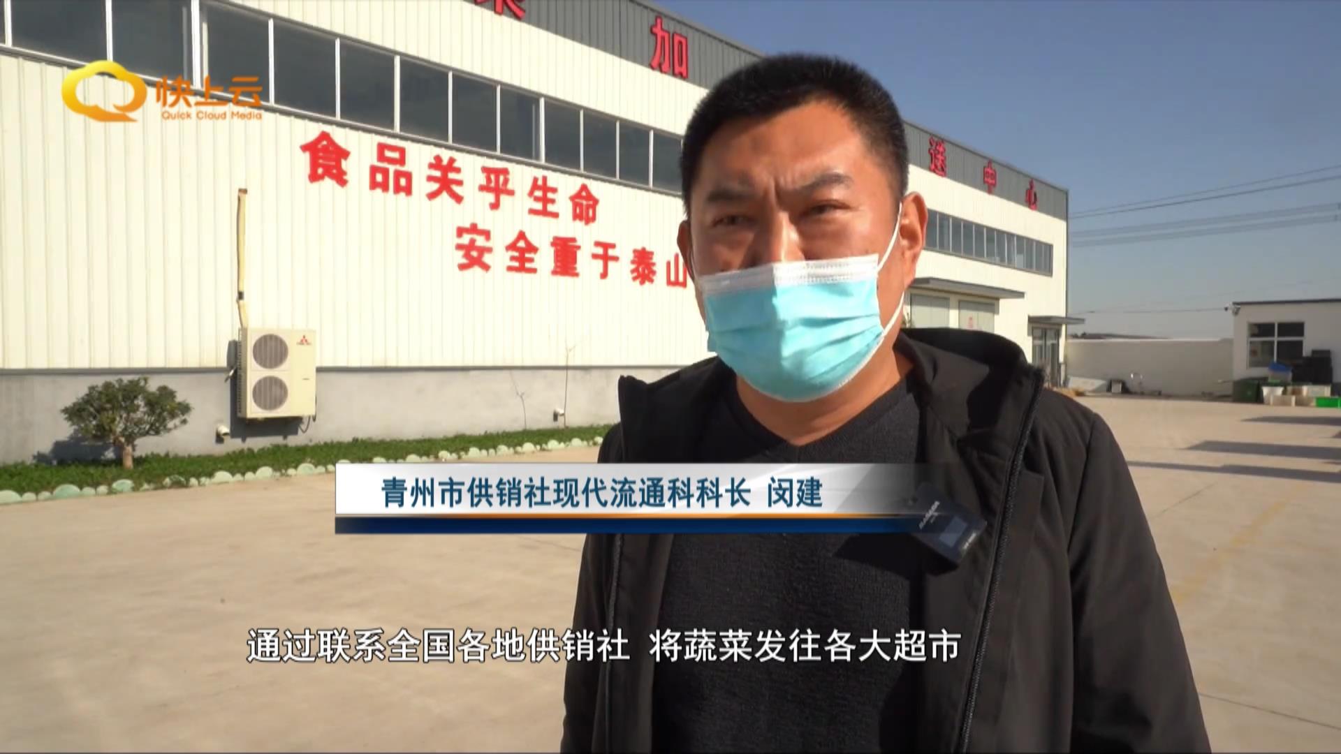 打造农业全产业链要做到什么,打造现代全产业链订单农业