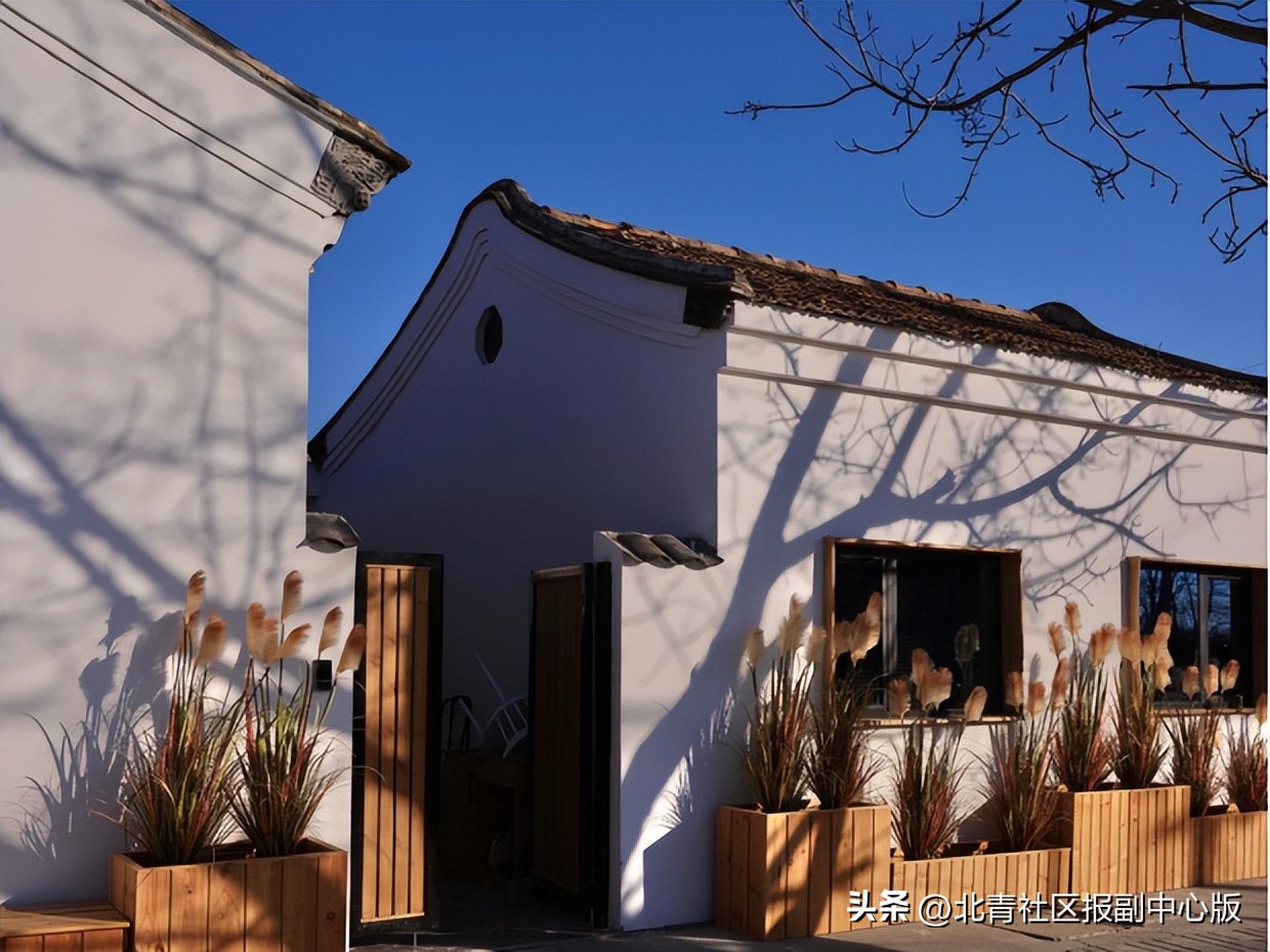 致富能手表彰,2022年度北京市农民增收致富能手