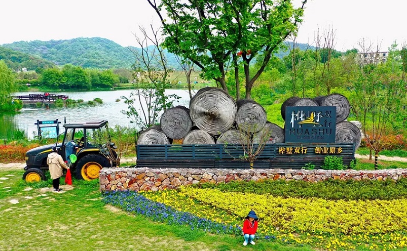 12月南京有哪些免费景点,南京市民免费旅游景点