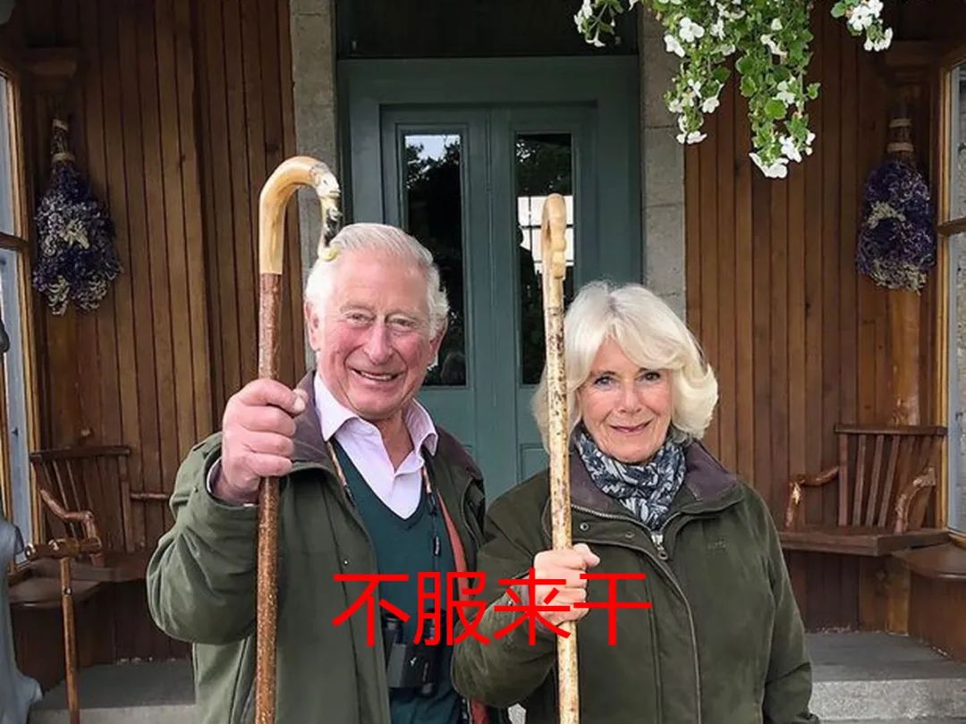 卡米拉气质逆袭不输戴安娜,卡米拉微笑回应凯特