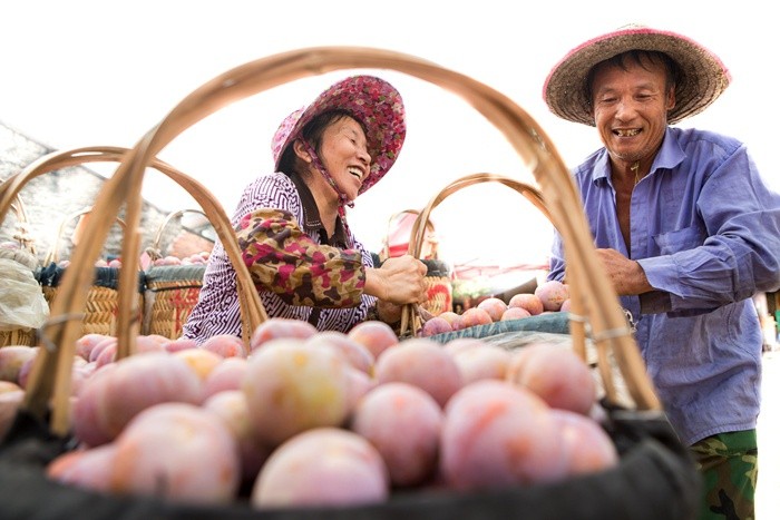 战胜困境的最好方法,怎样消除贫困促进可持续发展