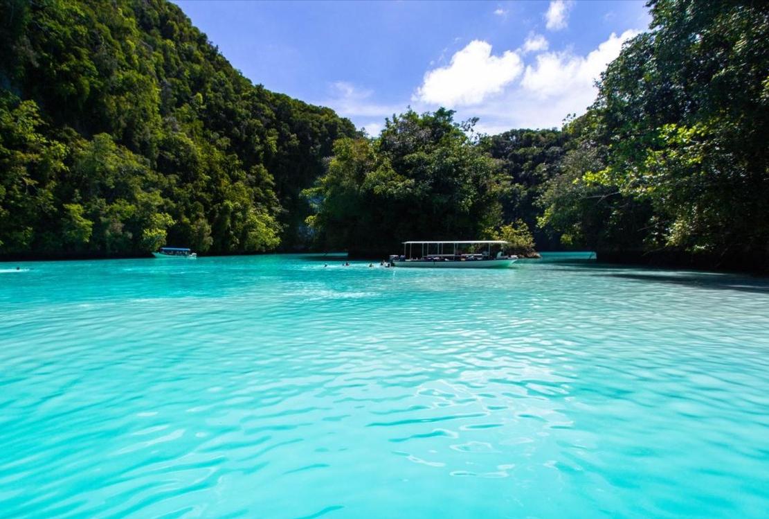 帕劳小岛真实情况,帕劳原生态海岛