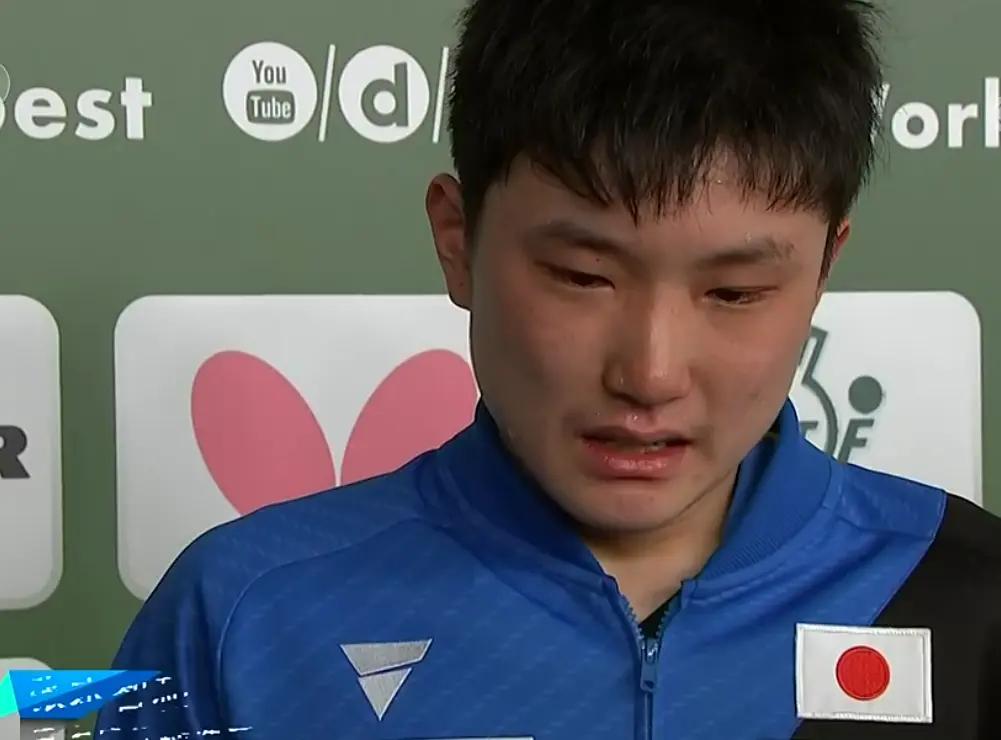 我们了解的张本智和