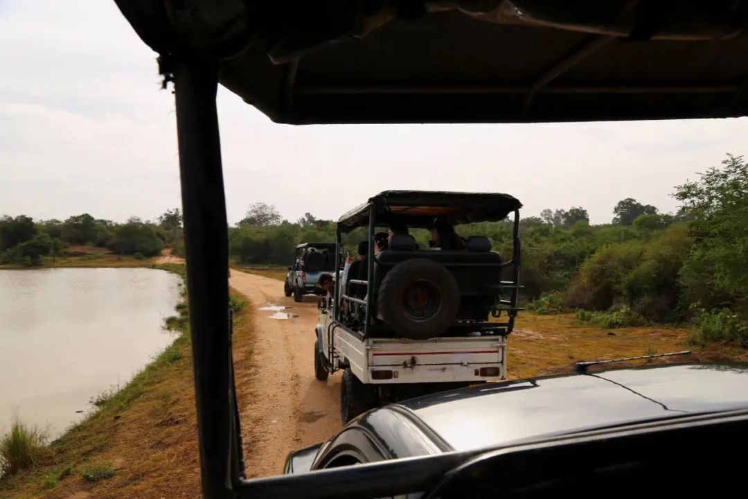 国庆3K起往返+极速电子签！去这个热带岛国度假也太香了吧