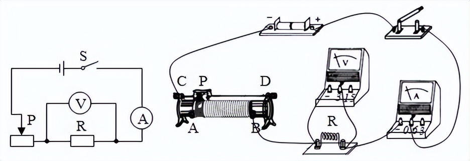 科学知识大全小学生必背,科学知识大全全集