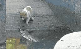 今天过来按脚，恰巧碰见了前女友，我该怎么化解尴尬呢？